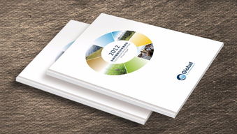 圖 朝陽望京一宣傳折頁印刷一金彩軒印刷公司為您一站式服務(wù) 北京印刷包裝